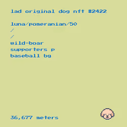 (IN KENNEL) Original DOG #2422
