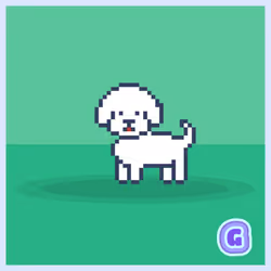 (IN KENNEL) Genesis DOG #1334