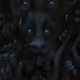 154