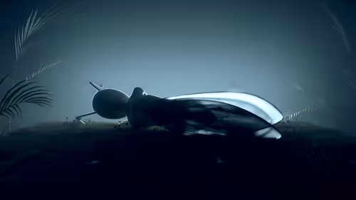 Item #56100030003 Media