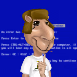 Camel #1234