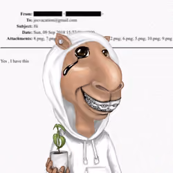 Camel #925