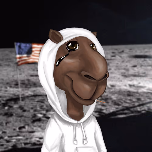 Camelcabal