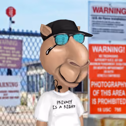 2050