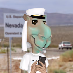 864