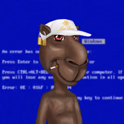 Camel #312