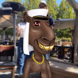 Camel #1572