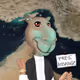 66