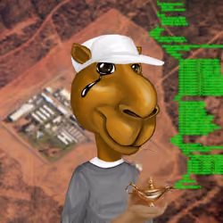 Camel #1163