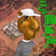 1163