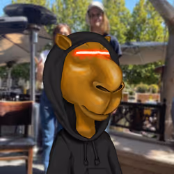 831