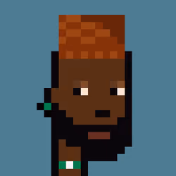 The Nigerians #1508