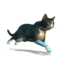 meowMEOWmeow