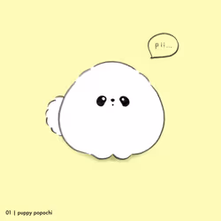 POPOCHI to mochi