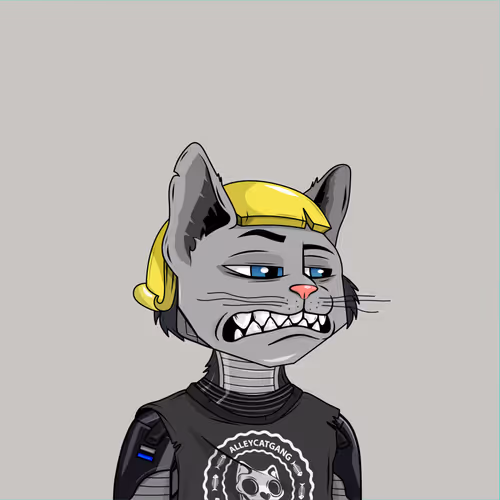 Alley Cat Gang