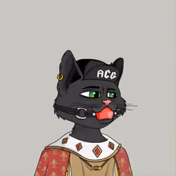AlleyCatGang #3642