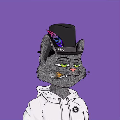 Alley Cat Gang