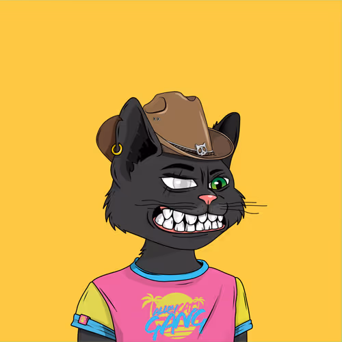 Alley Cat Gang