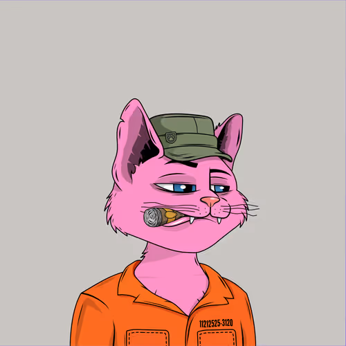 Alley Cat Gang