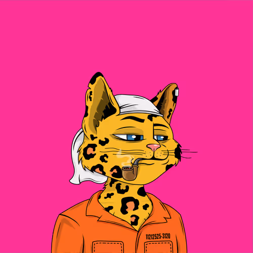Alley Cat Gang
