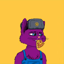 AlleyCatGang #1785