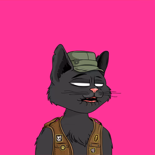 Alley Cat Gang
