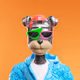 22865