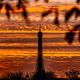 Paris Wonders
