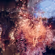 Simulations from MEGALOPOLIS [EXTENDED]
