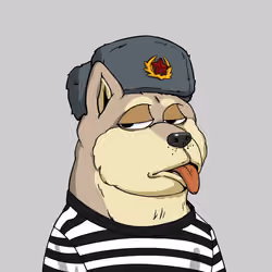 #6548