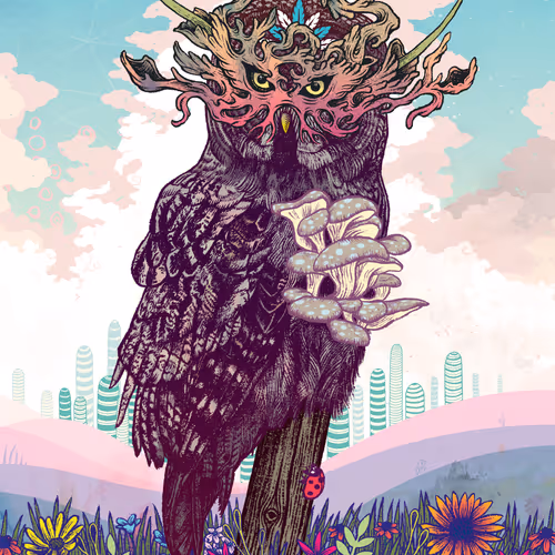 Journeying Spirit (Owl)