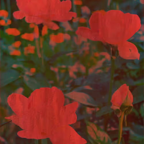 Visionscapes 1