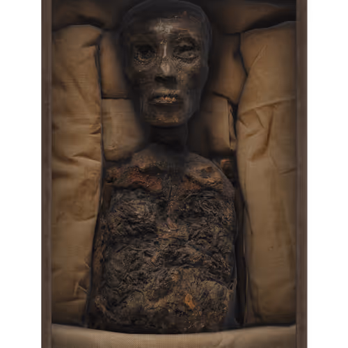 Elmonx Mummy Of Pharaoh Tutankhamun Ct Scan