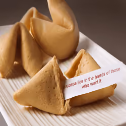Degen fortune Cookies #66