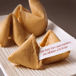 Degen fortune Cookies #670