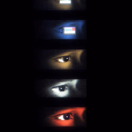 reel eyes