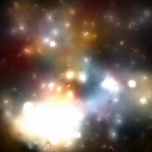 Item #15000048 Media