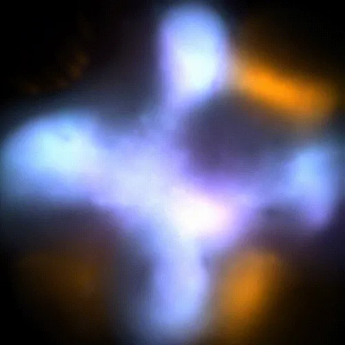 Item #15000051 Media