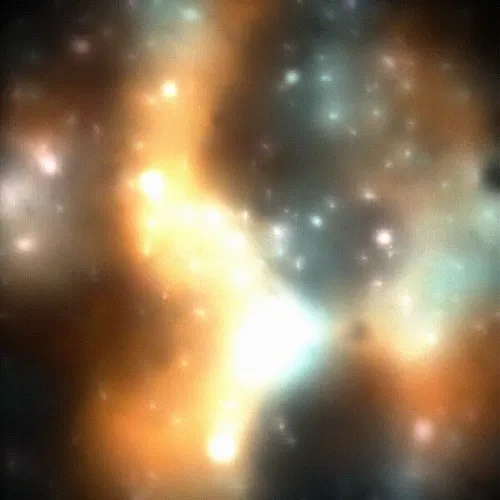 Item #15000049 Media