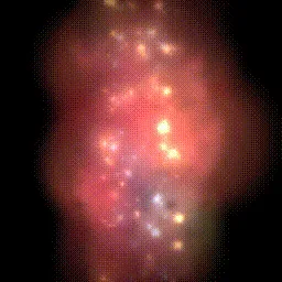 Item #15000020 Media