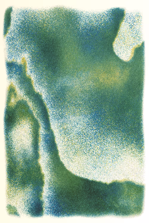 Item #17000002 Media