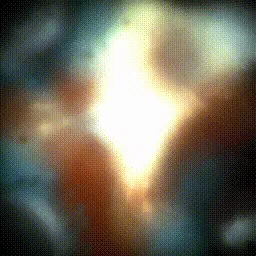 Item #15000008 Media