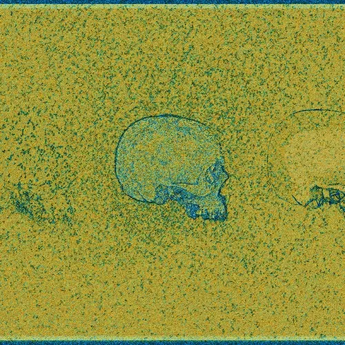 Pollen