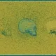 Pollen