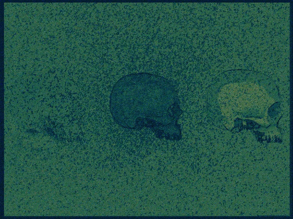 Algae