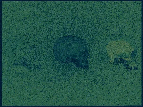 Algae