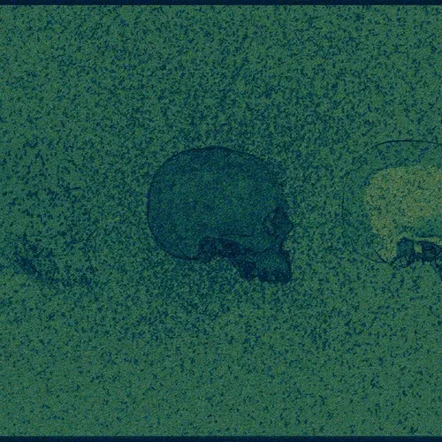 Algae