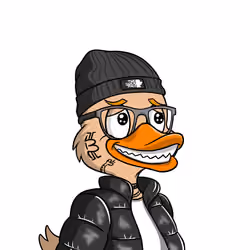 41