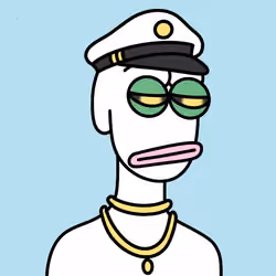 Not a Pepe NFT Project #3253
