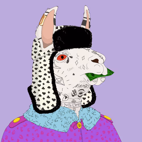 No Limit Llamas Official
